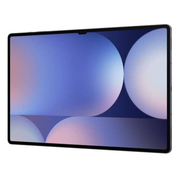 SAMSUNG Galaxy Tab S10 Ultra 12/256GB LTE Moonstone Gray 6