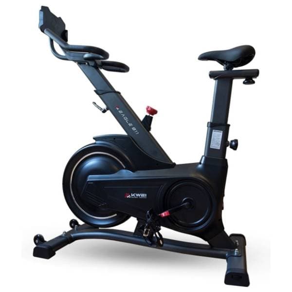 XPLORER Eagle 811 crni sobni bicikl 0