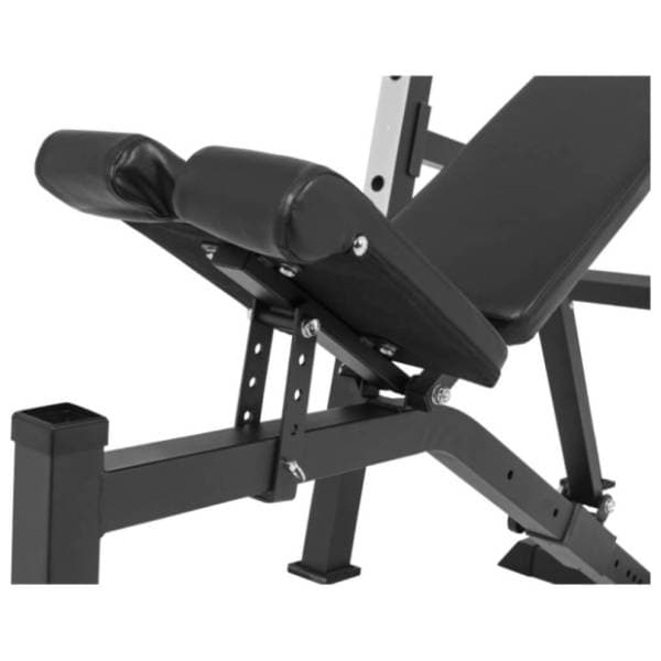 GORILLA SPORTS Benč klupa sa stalkom za šipku 3