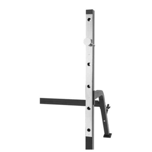 GORILLA SPORTS Benč klupa sa stalkom za šipku 10