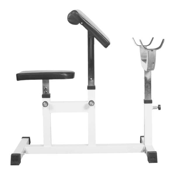 GORILLA SPORTS Skot klupa za biceps 2