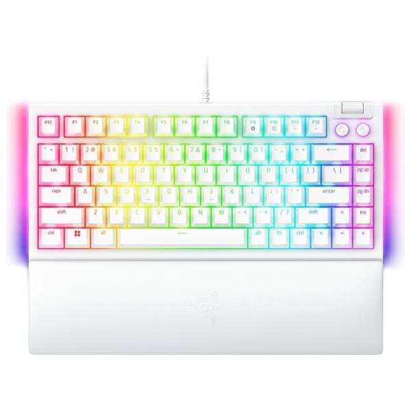 RAZER tastatura BlackWidow V4 X White 0