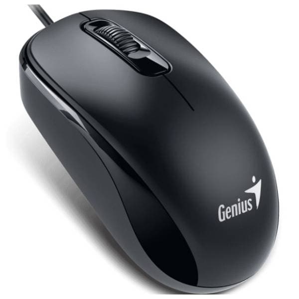 GENIUS miš DX-110 USB-C Optical 2
