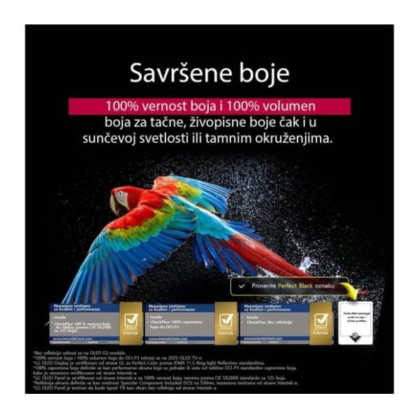 LG OLED televizor OLED55G51LW 2