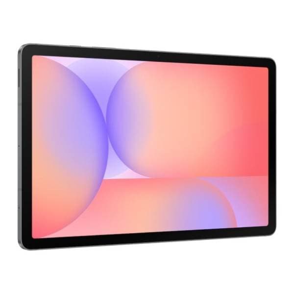 SAMSUNG Galaxy Tab S10 Lite 8/256GB Gray 1