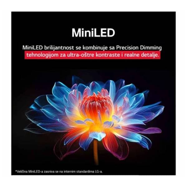 LG QNED televizor 100QNED86A6 3