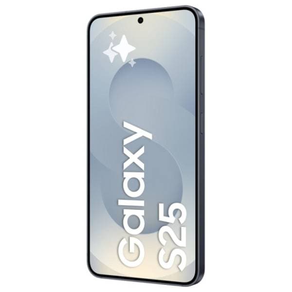 SAMSUNG Galaxy S25 12/256GB Blue Black (S931) 1