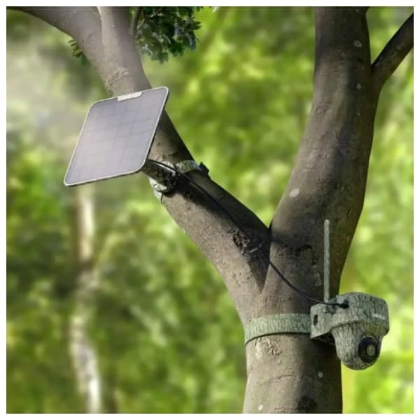 REOLINK Go Ranger PT G450 4G kamera za lov sa solarnim panelom 2