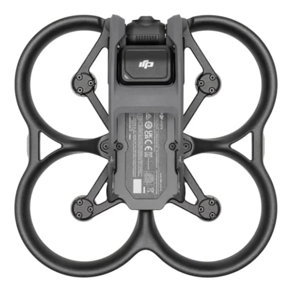 DJI Avata Pro-View Combo (DJI RC Motion 2) dron 5