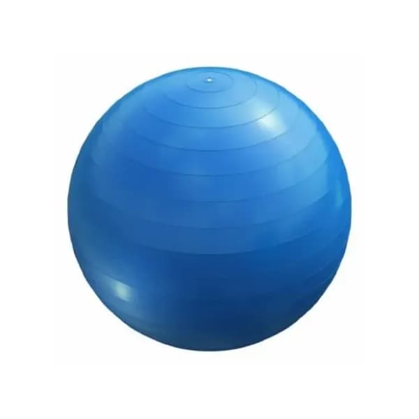 GORILLA SPORTS plava lopta za pilates 55 cm 0