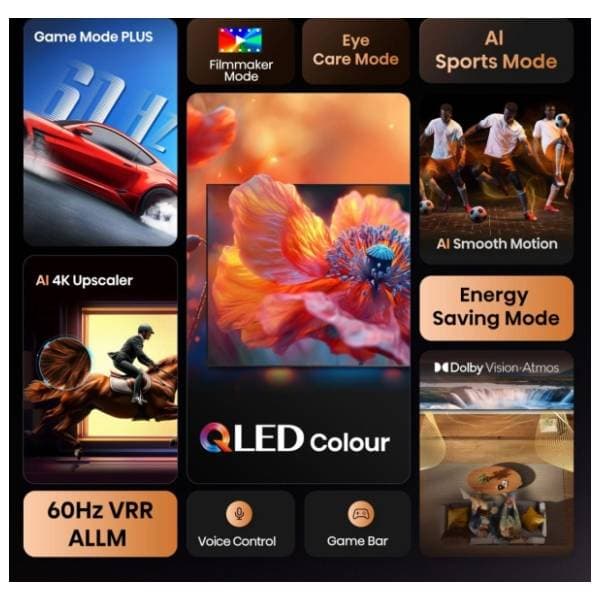 HISENSE QLED televizor 55E79Q 1