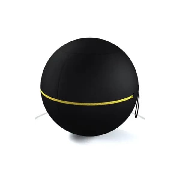 TECHNOGYM Wellness Ball Active Sitting 55 cm 0