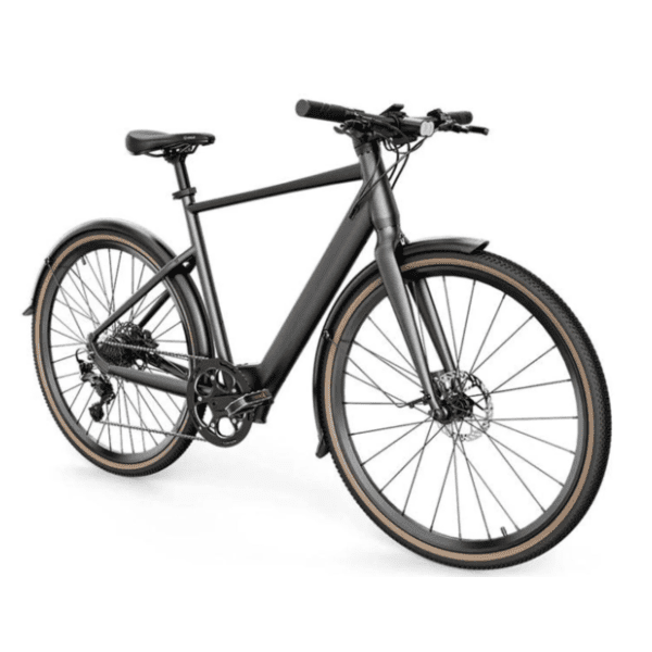 FIIDO C21 sivi električni bicikl 0