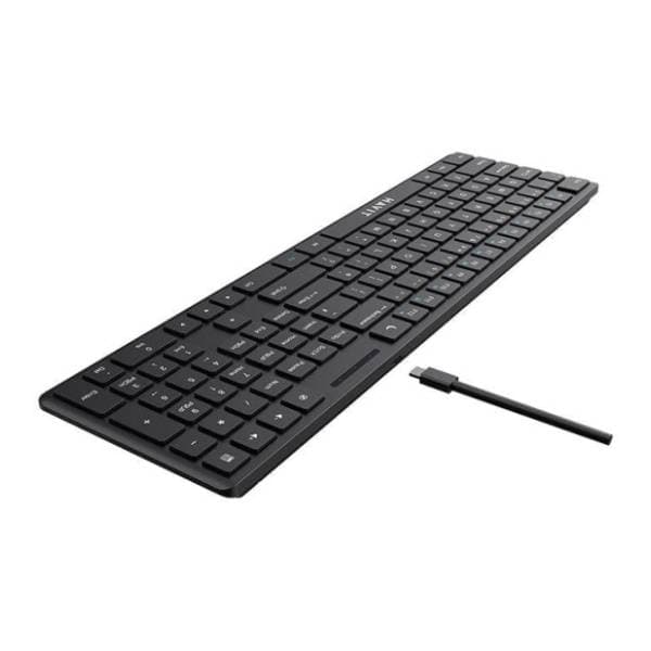 HAVIT tastatura KB252 crna 2
