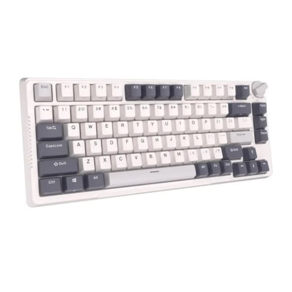 ROYAL KLUDGE bežična tastatura RKH81 Sky Cyan Switch White US 1