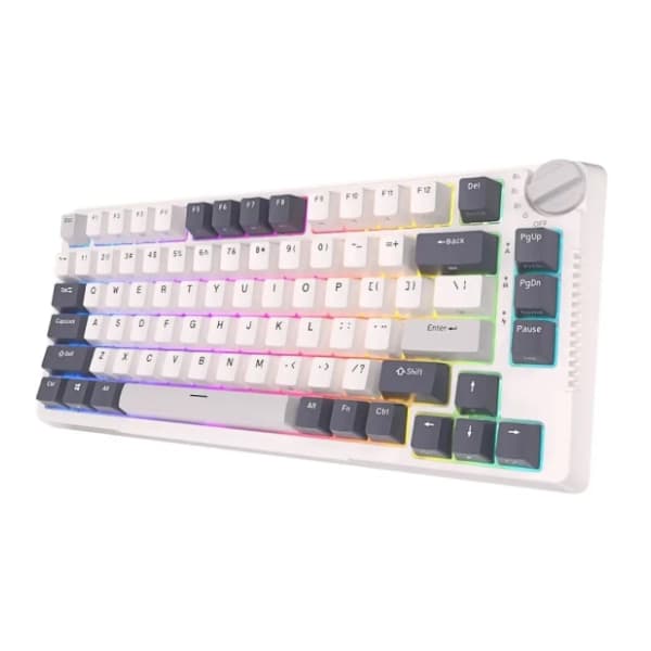 ROYAL KLUDGE bežična tastatura RKH81 Sky Cyan Switch White US 4
