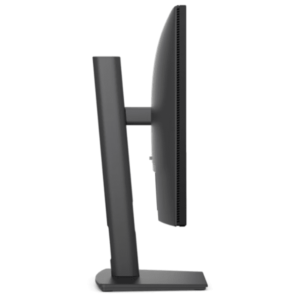 DELL monitor 23.8'' IPS Pro P P2426H Professional 4