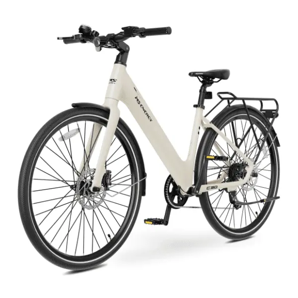 MS ENERGY eBike c30 M električni bicikl 0