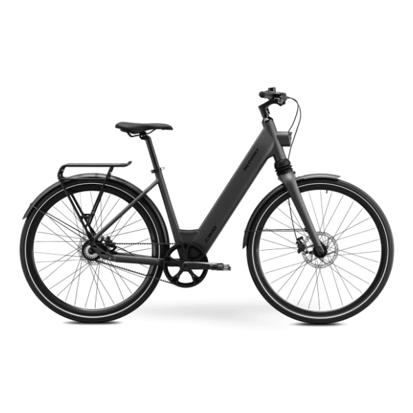 MS ENERGY eBike c300 električni bicikl 1