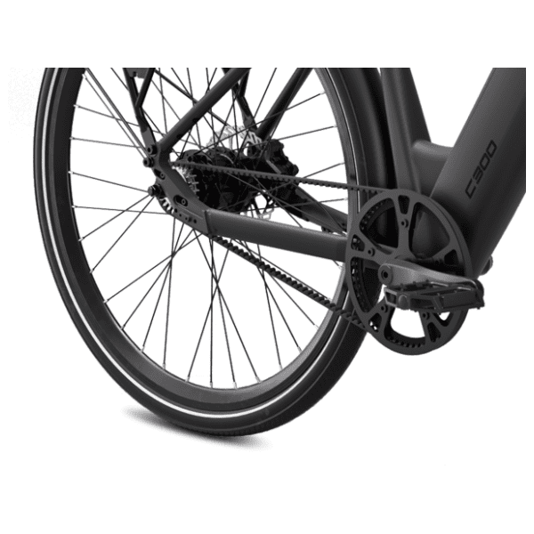 MS ENERGY eBike c300 električni bicikl 3