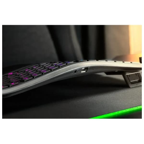 RAZER bežična tastatura Pro Type Ergo US 2