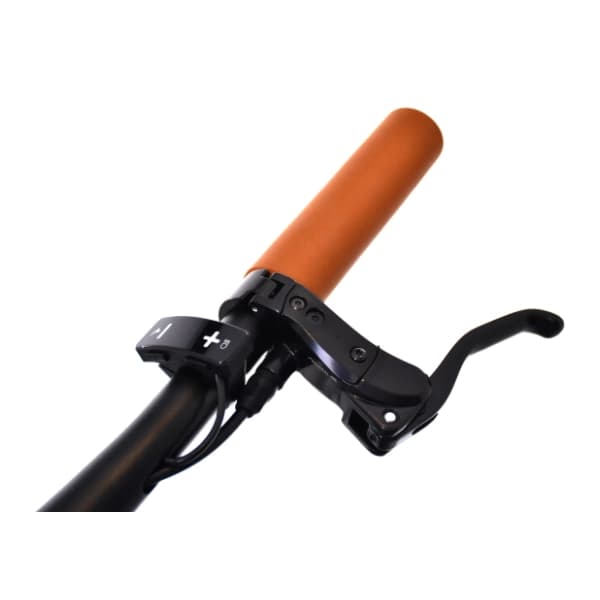 CAPRIOLO E-bike Belt Drive 28" crno-sivi električni bicikl 6