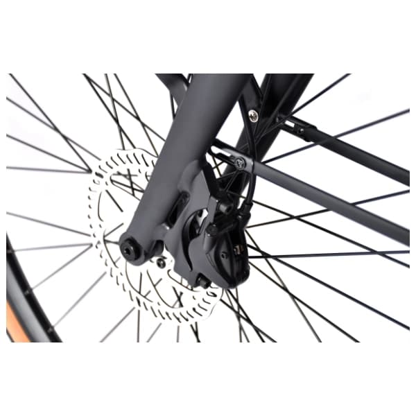 CAPRIOLO E-bike Belt Drive 28" crno-sivi električni bicikl 9
