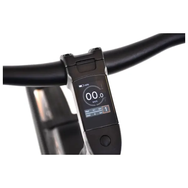 CAPRIOLO E-bike Belt Drive 28" crno-sivi električni bicikl 11