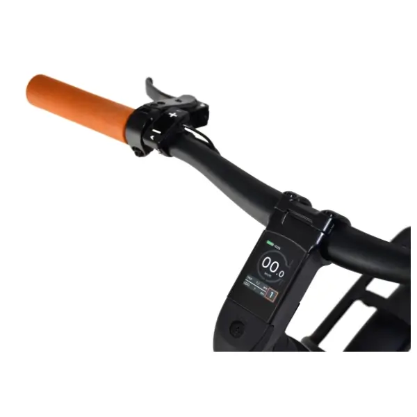 CAPRIOLO E-bike Belt Drive 28" sivo-bež električni bicikl 2