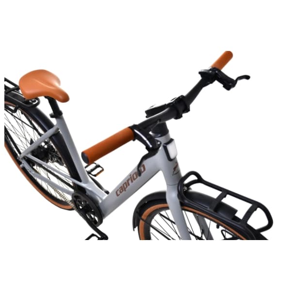 CAPRIOLO E-bike Belt Drive 28" sivo-bež električni bicikl 1