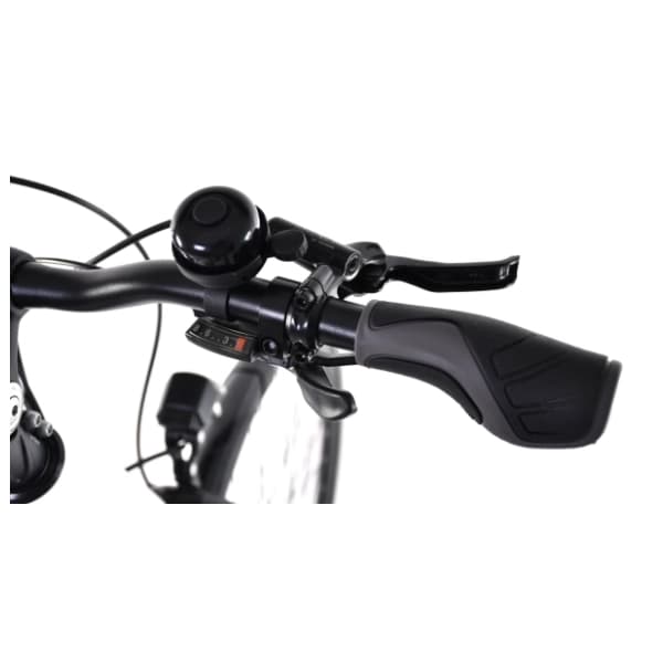 CAPRIOLO E-bike eco 700.3 Lady beli električni bicikl 4