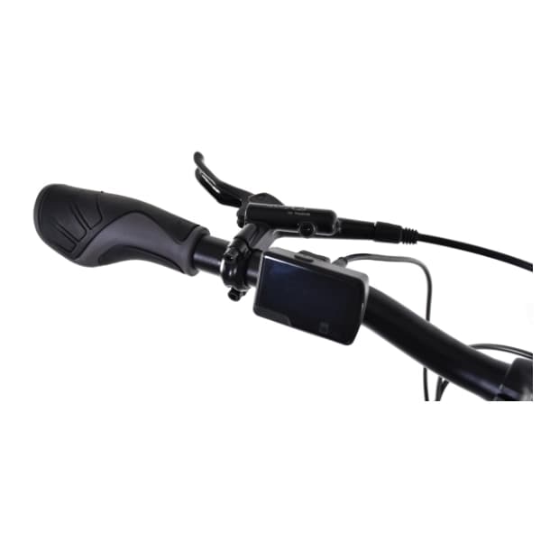 CAPRIOLO E-bike eco 700.3 Lady beli električni bicikl 5