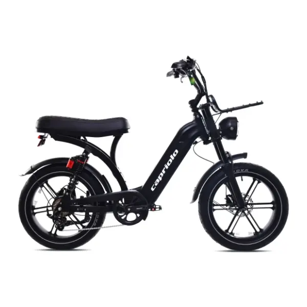 CAPRIOLO e-matic 20" 926810 crni električni bicikl 1