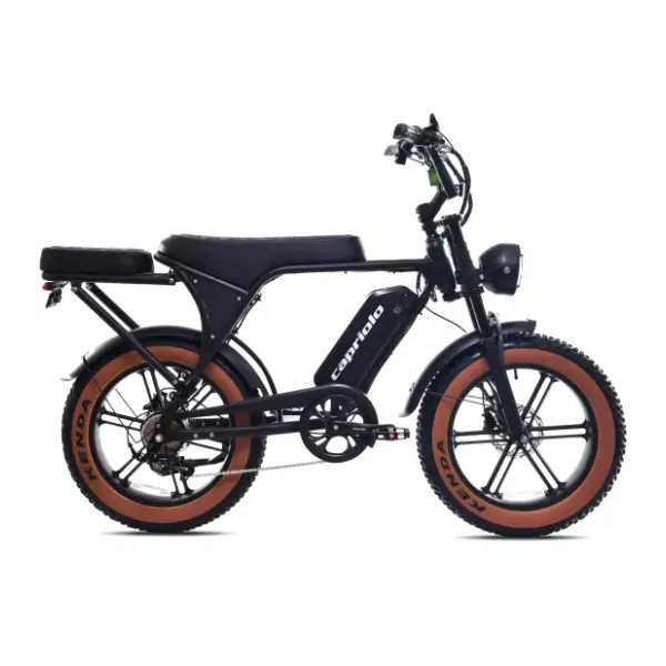 CAPRIOLO e-retro 20" 926815 električni bicikl 1