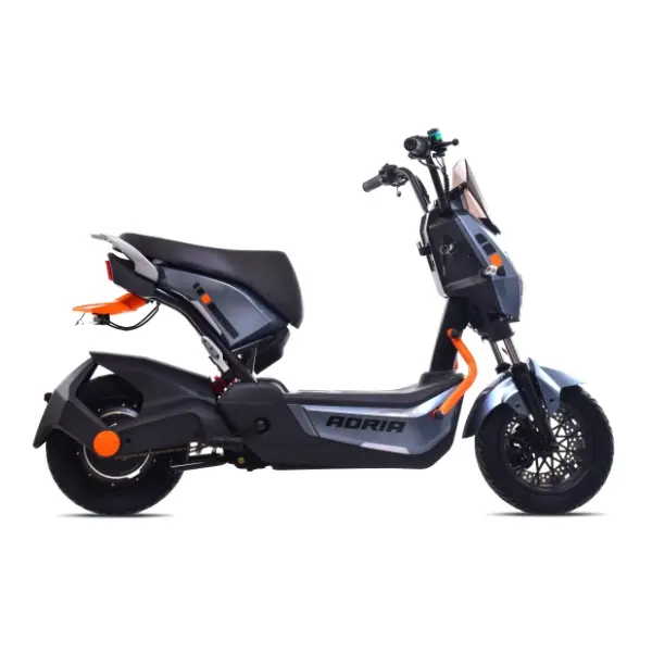 CAPRIOLO E2 RX20 sivi 292027-S električni bicikl 1