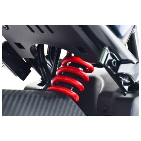 CAPRIOLO E2 RX20 sivi 292027-S električni bicikl 6