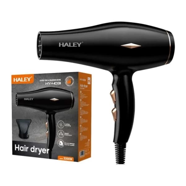 HALEY fen HY4031 1