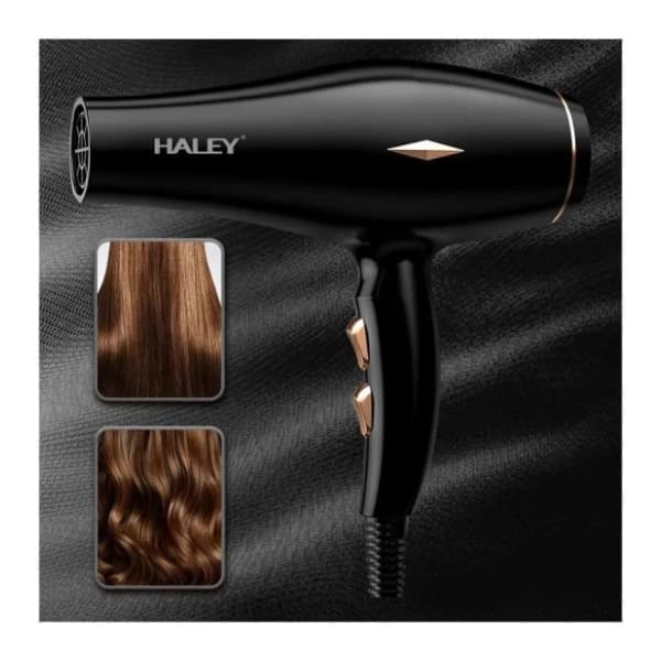 HALEY fen HY4031 2