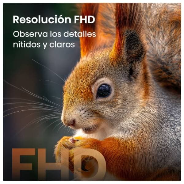 HISENSE QLED televizor 40A5S 6