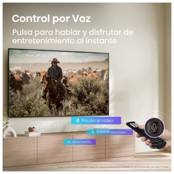 HISENSE televizor 55A6S 5