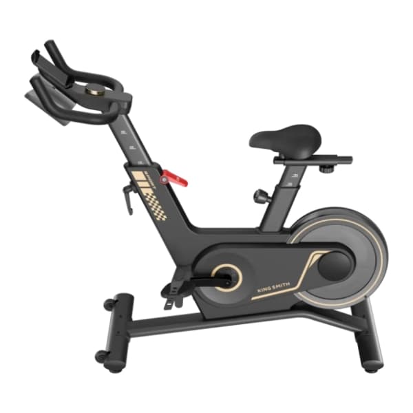 KINGSMITH Sprint Spinning Bike PB08S sobni bicikl 2