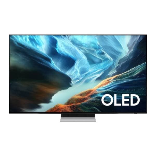 SAMSUNG OLED televizor QE55S90HAEXXH 0