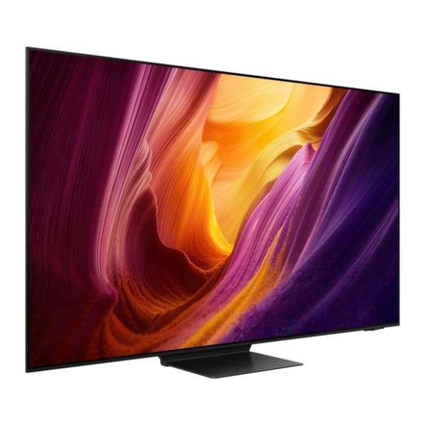 SAMSUNG OLED televizor QE65S95HFTXXH 1