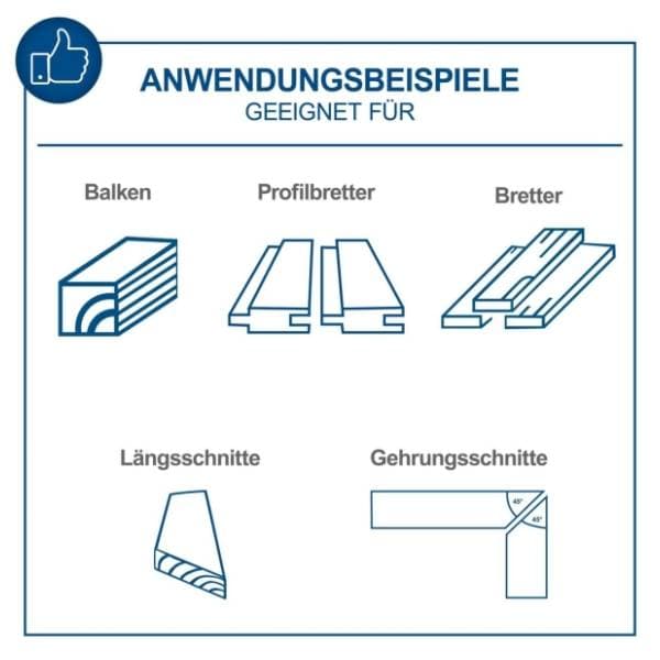 SCHEPPACH TS310 4901305901 stoni cirkular 3