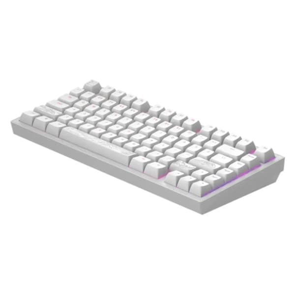 DARK PROJECT tastatura ALU Terra Nostra White (ANSI/UA) 3