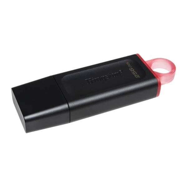 KINGSTON USB flash memorija 256GB DataTraveler Exodia (DTX-256GB) 2