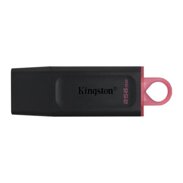 KINGSTON USB flash memorija 256GB DataTraveler Exodia (DTX-256GB) 0