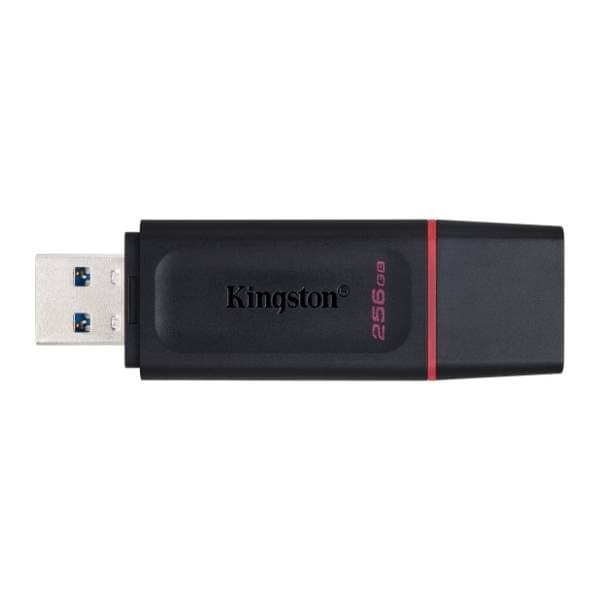 KINGSTON USB flash memorija 256GB DataTraveler Exodia (DTX-256GB) 1
