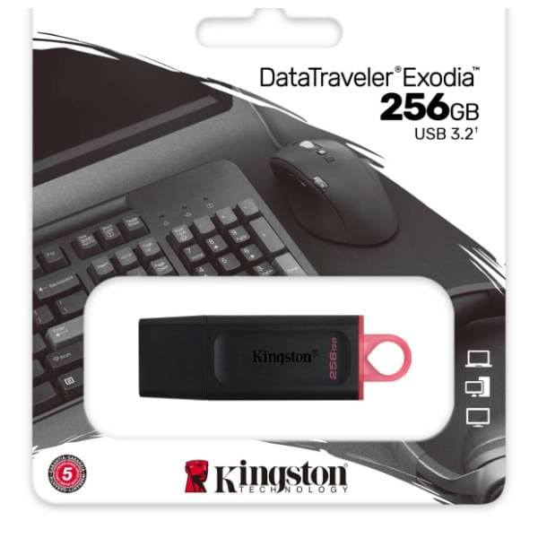 KINGSTON USB flash memorija 256GB DataTraveler Exodia (DTX-256GB) 3