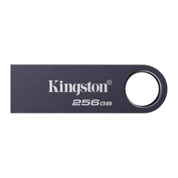 KINGSTON USB flash memorija 256GB DataTraveler SE9 G3 (KE-U2X256-1AC) 1